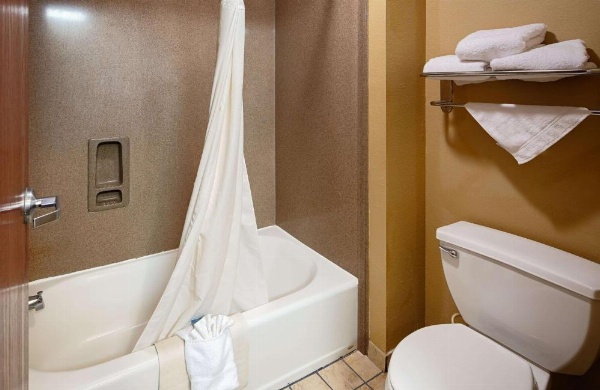 Best Western Zachary Inn image 25