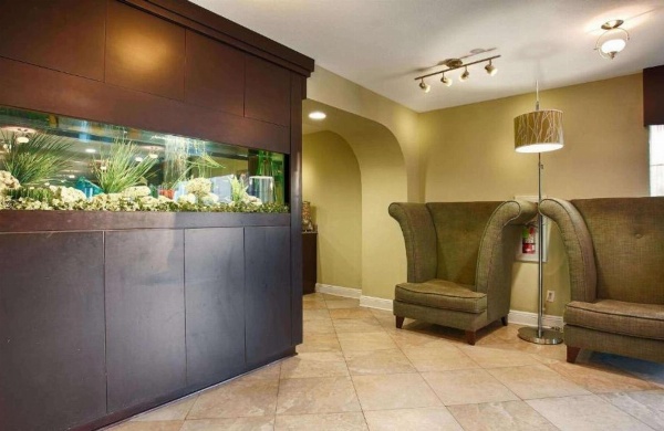 Best Western Zachary Inn image 5